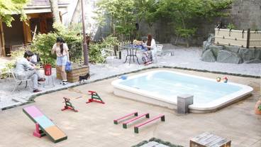 ペット同伴可 / 1