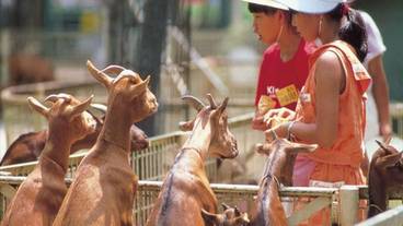 シティ ビュー / 14