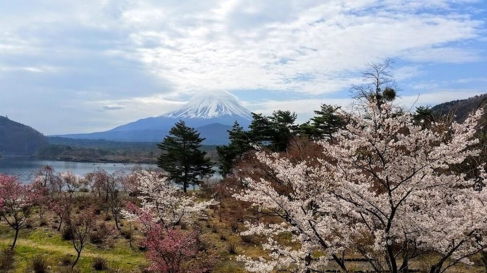 施設からの眺望