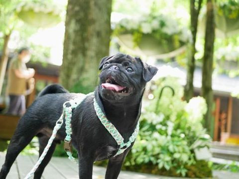 pugnsk3さんの写真 / 1