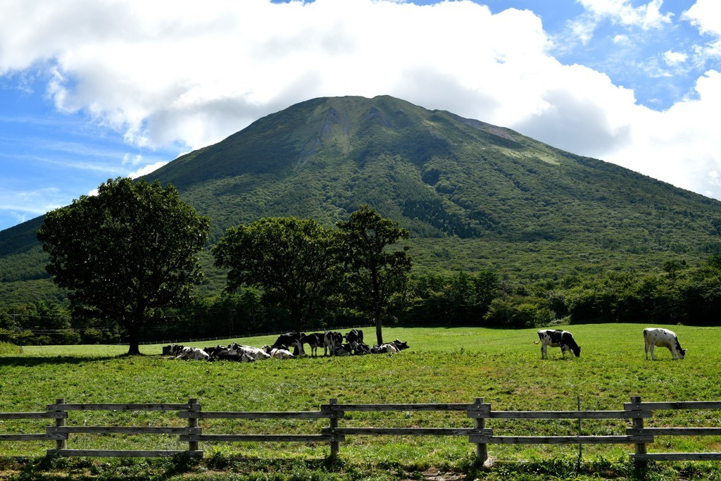 米子市～境港市エリア3509049