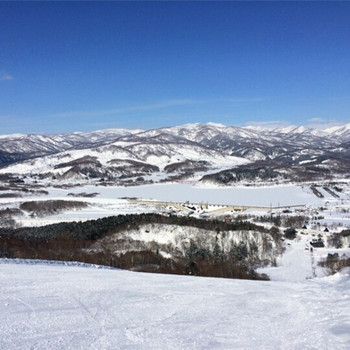 大自然に囲まれた温泉宿で、希少な和牛に舌鼓3648330