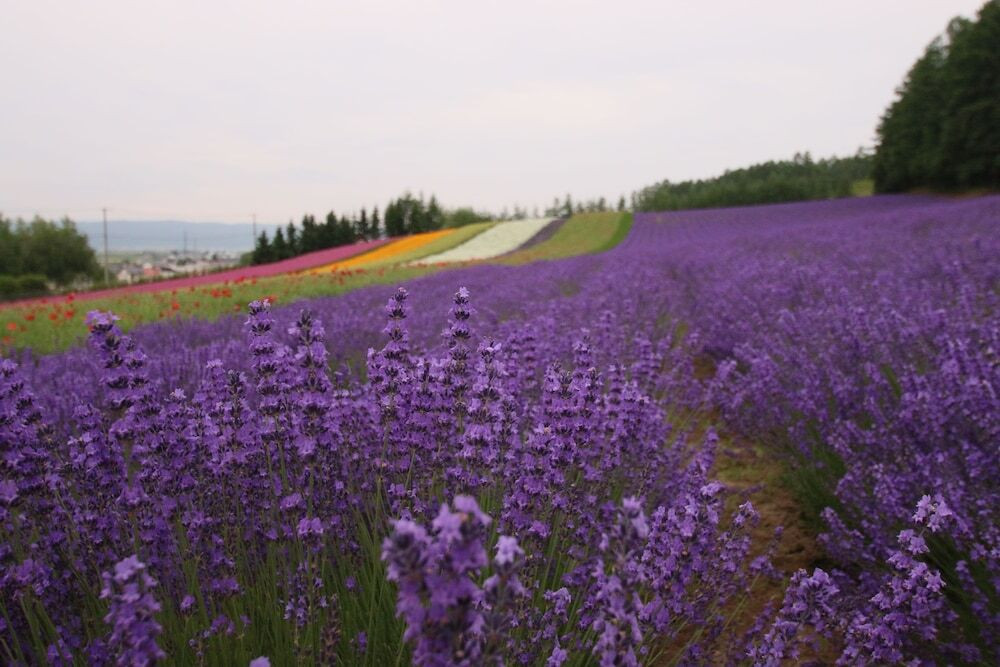 施設からの眺望