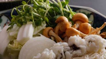 食事・飲み物 / 13