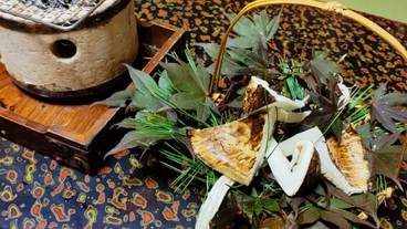 食事・飲み物 / 40