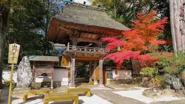 シティ ビュー / 13