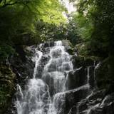 白糸の滝（シライトノタキ）