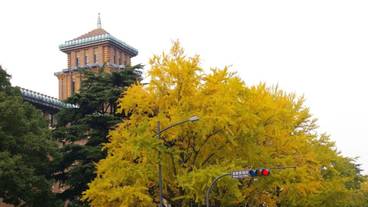 施設からの眺望 / 18