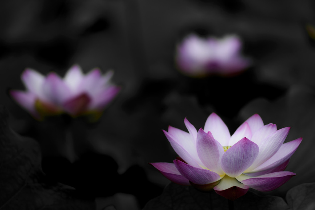 国内のヘルスリゾートホテルで癒されよう752174