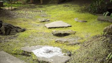 施設内の設備 / 2