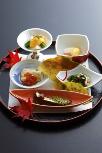 1000坪の敷地にカエデ・桜が自生、紅葉も見事な宿4248722