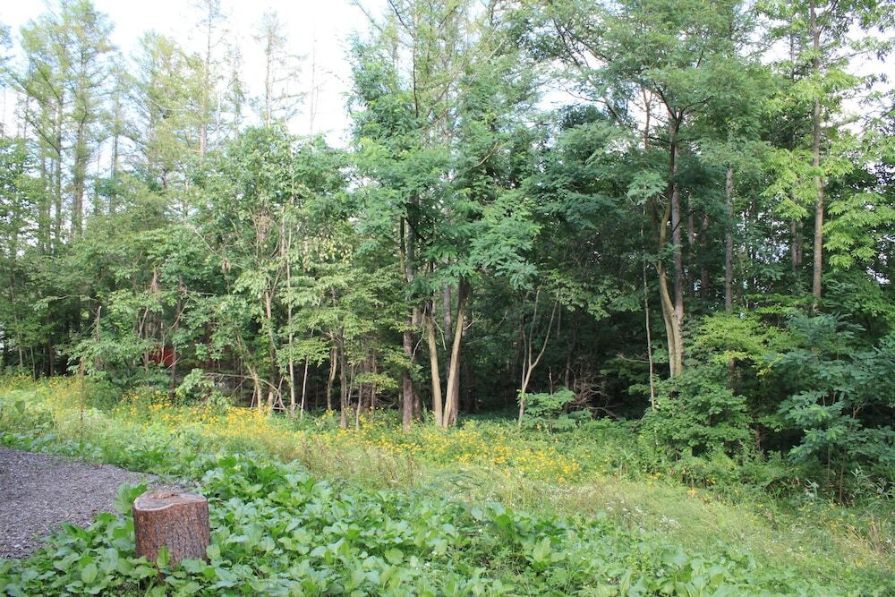 施設からの眺望