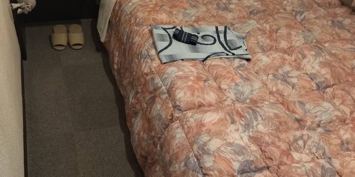 松江シティホテル本館（島根県 ビジネスホテル） / 1