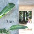 Birth the suite