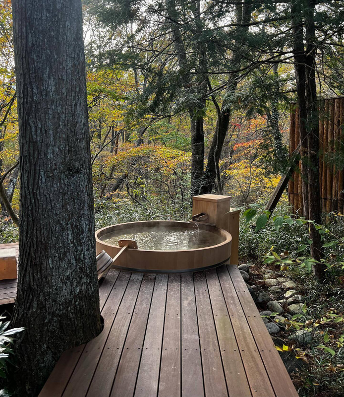 potatohead0430さんの写真 / 2