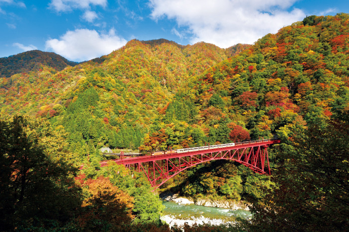 アドベンチャー感覚を味わいながら絶景を望めるトロッコ電車「黒部峡谷鉄道」4762348