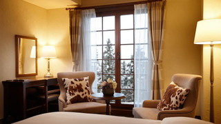 【ロッジ棟】デラックスダブルツイン(ベッド2台)