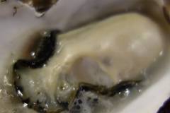 クラブシャック