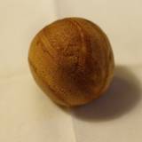 元祖阿わび屋大原老舗 唐津本店(ガンソアワビヤオオハラシニセ)