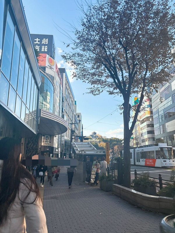 街中心部から望む熊本城 / 1