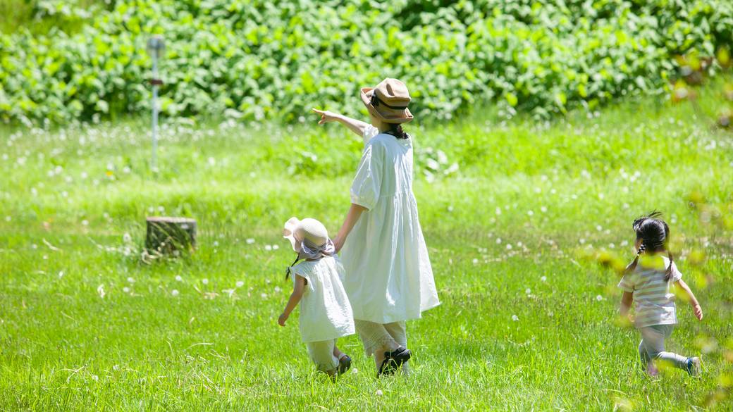 沖縄の景色に癒される
早朝ウォーキング / 2