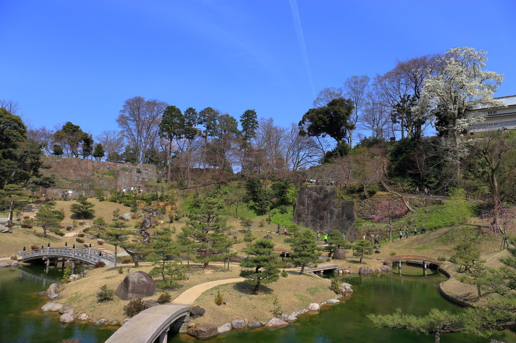 金沢城公園2394344