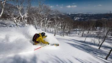 スノー スポーツとスキー / 6