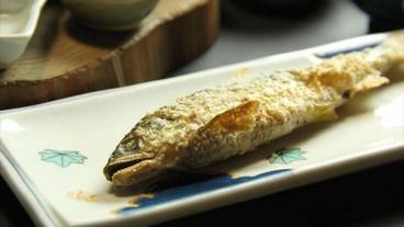 食事・飲み物 / 8