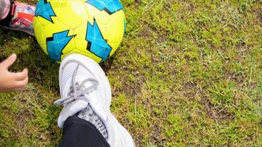 スポーツ場 / 15