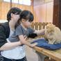 【楽天限定】お子様と遊びつくすテーマパーク！那須どうぶつ王国「入園券」付ファミリープラン♪ | 那須温泉 ホテルグリーンパール那須