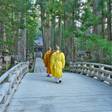 1人旅で気軽に泊まれる高野山の宿坊7選。心身を整えリフレッシュしよう／和歌山