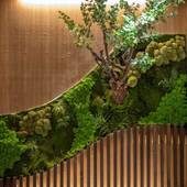 湯村温泉緑屋（兵庫県 旅館） / 2