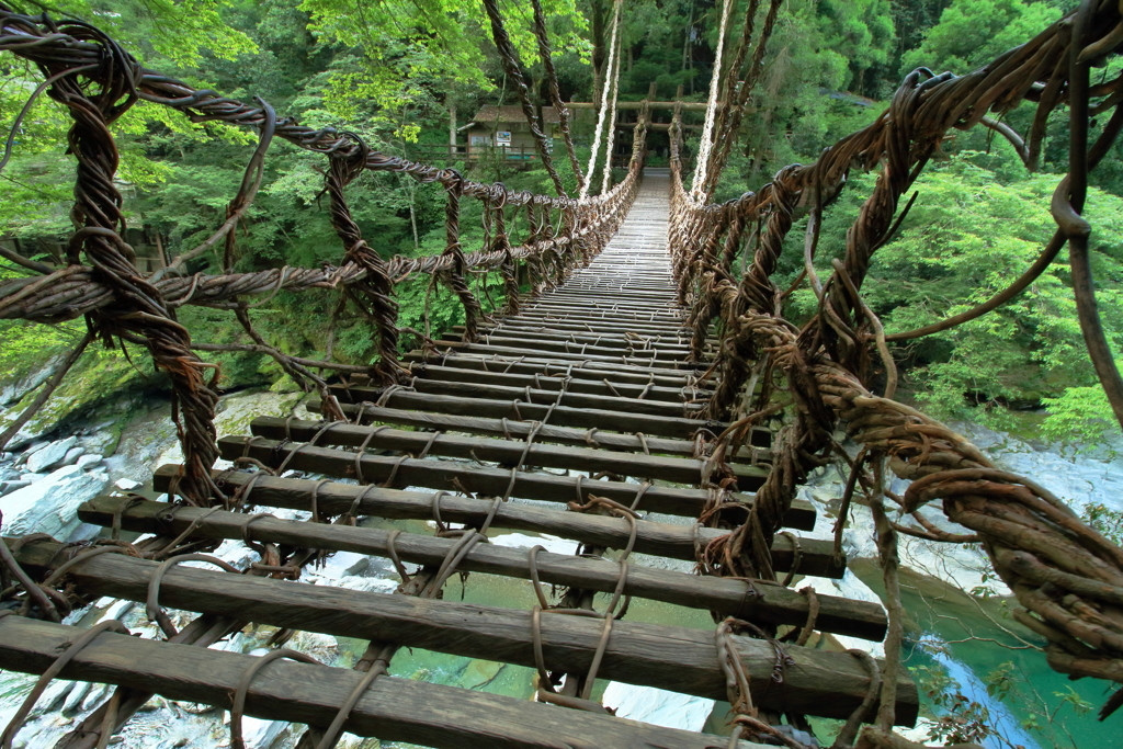 祖谷のかずら橋を渡る(徳島県三好市西祖谷山村)