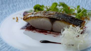 食事・飲み物 / 22