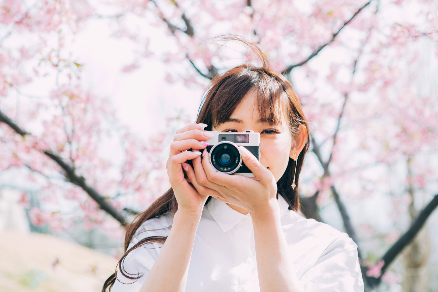 桜の写真を撮る若い女性