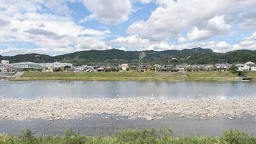 部屋からの景観 / 36