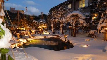 日本庭園 / 27