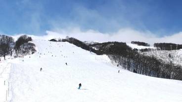 スノー スポーツとスキー / 3