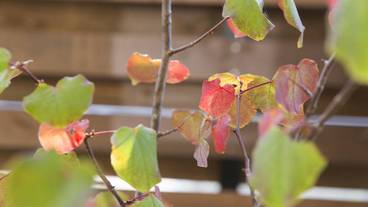 施設の敷地 / 13