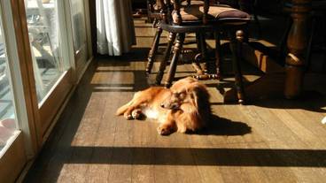 レストラン / 14