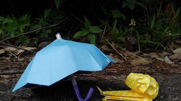 施設内の設備 / 1