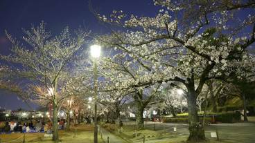 観光スポット / 10