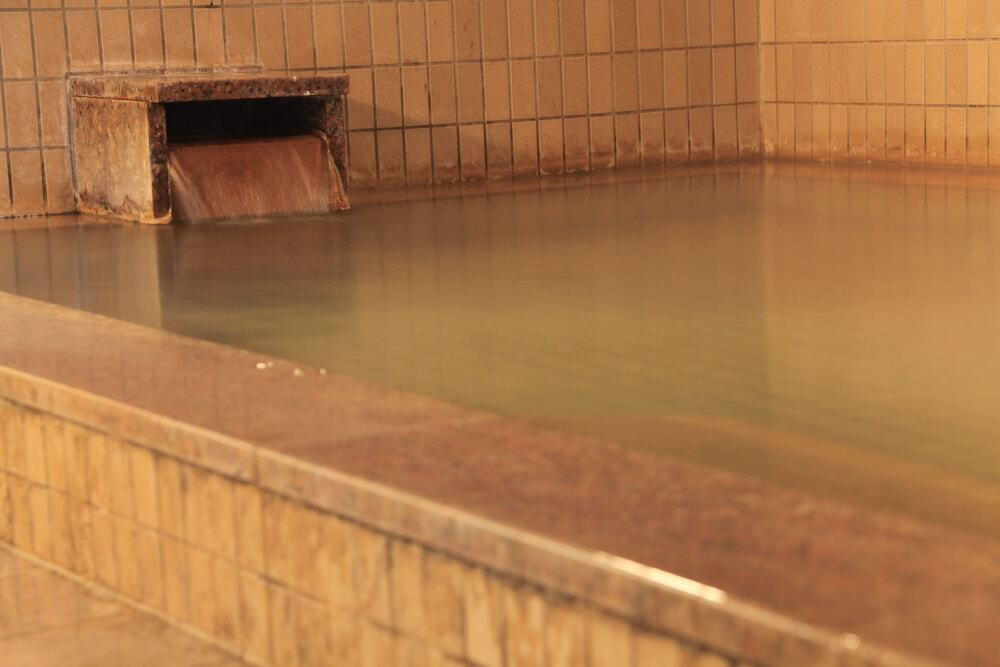 那須の自然とモンゴルの文化をダブルで体験！3918806