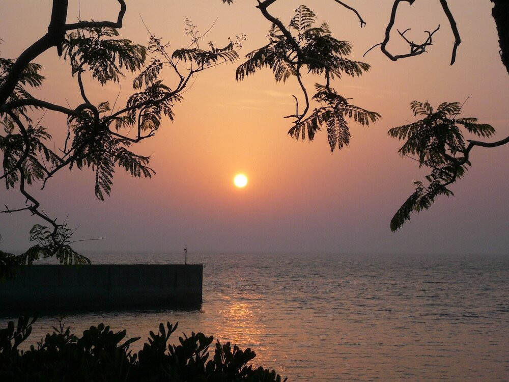 施設からの眺望