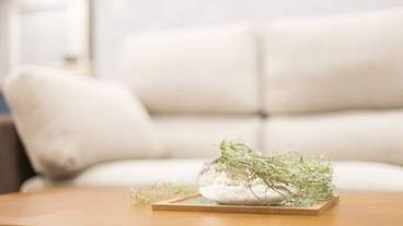 リビング エリア / 14