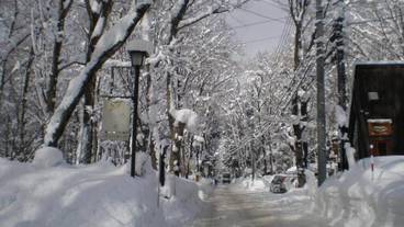 施設の敷地 / 10