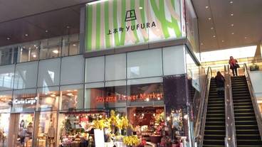 シティ ビュー / 12