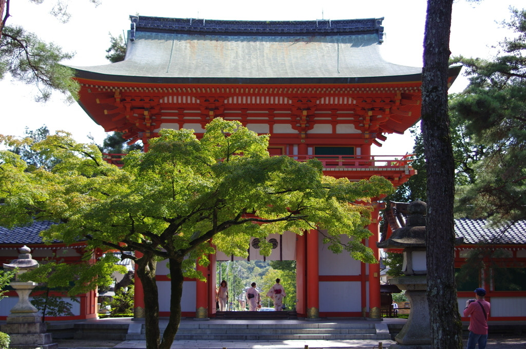 「今宮神社」で「やすらい祭り」を見よう！1554354