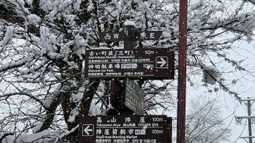 スノーシュー / 1