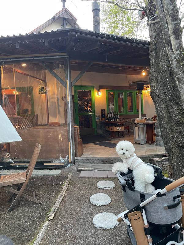 hakutoyubaさんの写真 / 1